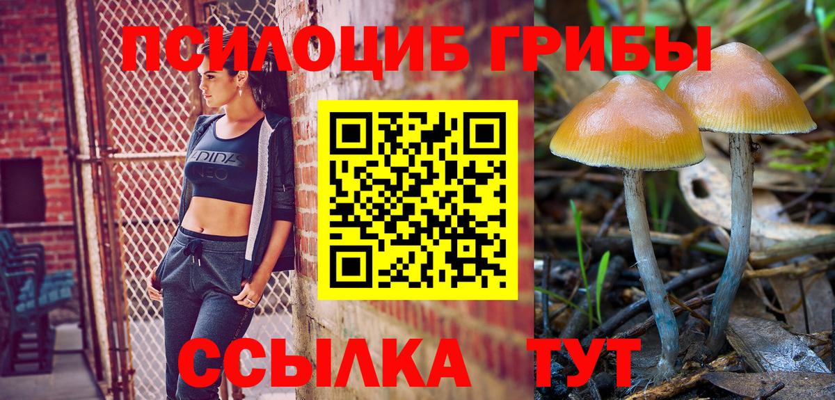 цена наркотик  Вход с VPN  Анапа  Псилоцибиновые грибы мицелий  Галлюциногенные грибы Cubensis 